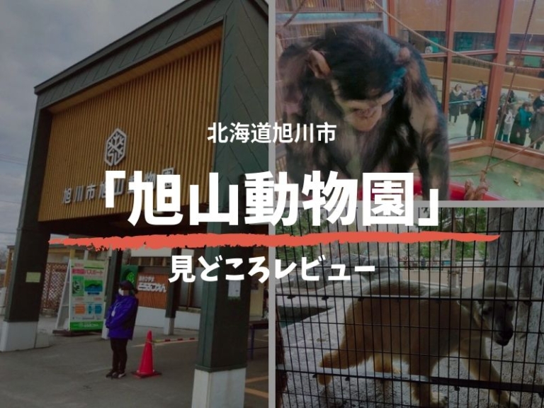 間近 春の旭山動物園レビュー 行動展示 の迫力に大興奮 ママいこっ