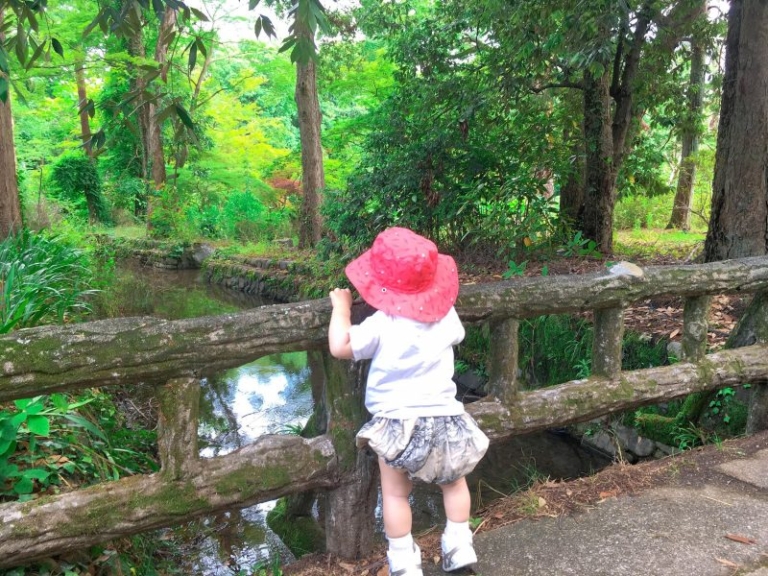 1歳でも楽しめる 京都府立植物園 初夏の森を楽しむコース に行ってきました ママいこっ